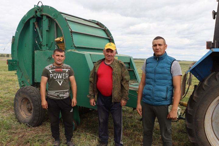 «Сатыш»та бер баш  малга 30 центнердан ким булмаган азык әзерләнәчәк