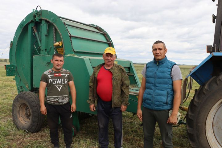 «Сатыш»та бер баш  малга 30 центнердан ким булмаган азык әзерләнәчәк