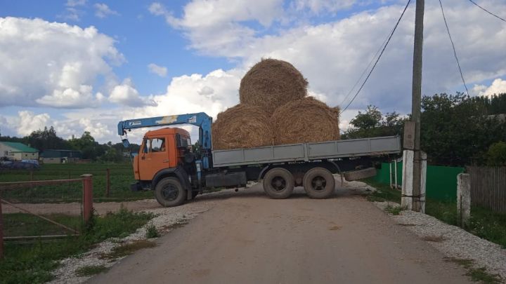 Җаваплылыгы чикләнгән “Игенче” җәмгыятендә урып-җыю эшләре тулы куәтенә бара [фоторепортаж]