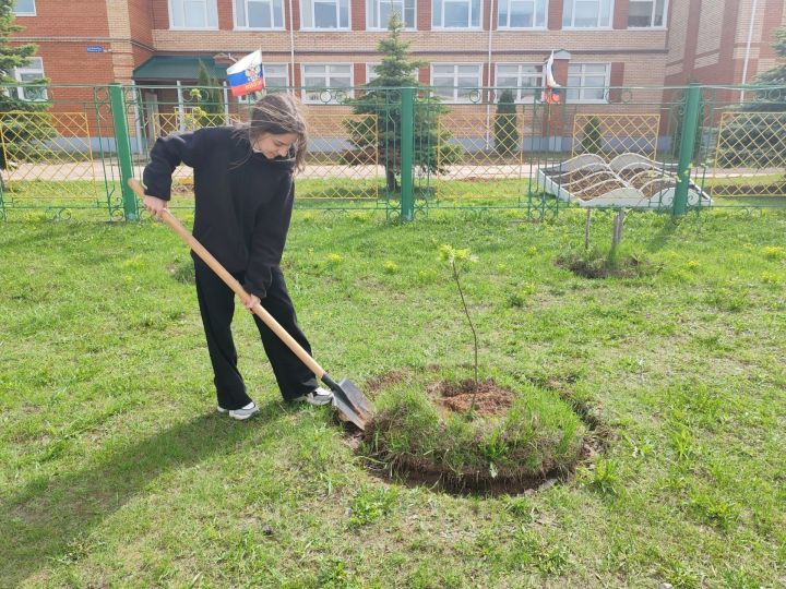 Шәмәрдән укучылары «Хәтер бакчасы» акциясенә кушылды