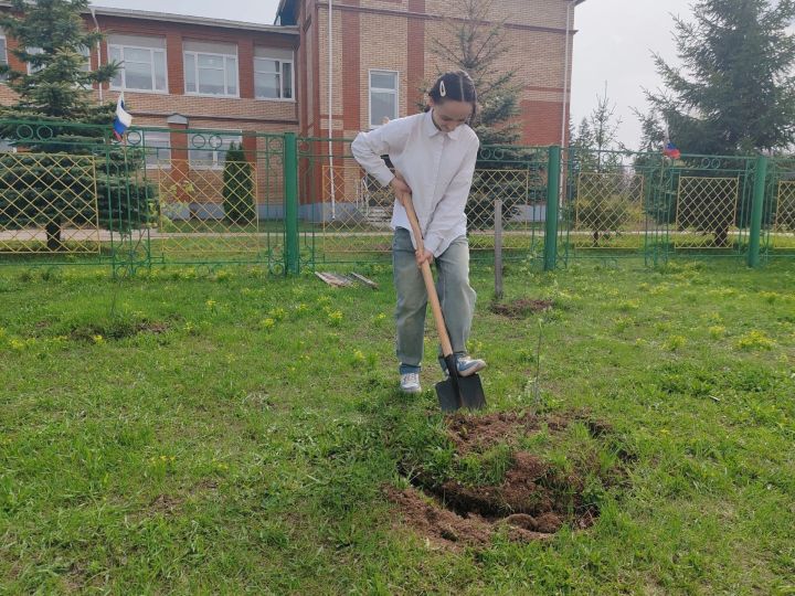 Шәмәрдән укучылары «Хәтер бакчасы» акциясенә кушылды