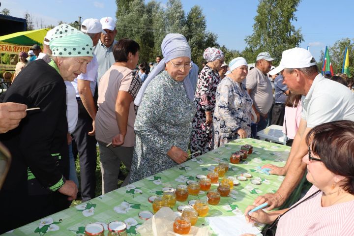 Шекшедә «Пчелотуй-2024» региональ бәйрәме узды (фоторепортаж)