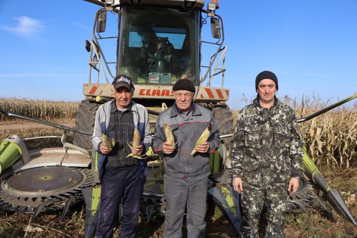 Көзге муллык  тантанасы