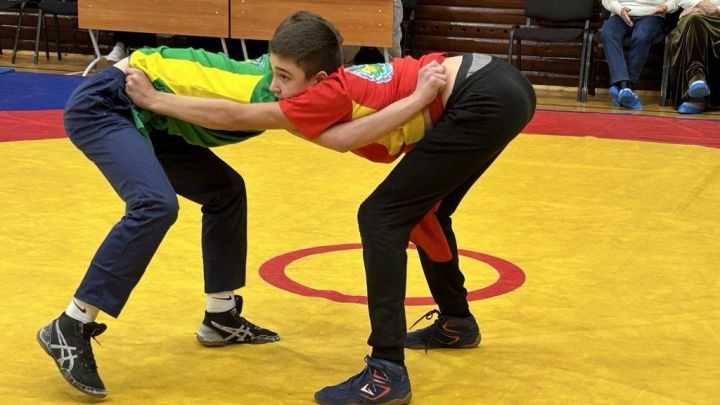 Фәргать Нәбиуллин истәлегенә ачык  көрәш турниры