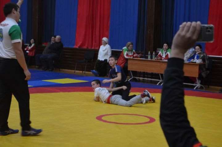 Фәргать Нәбиуллин истәлегенә ачык  көрәш турниры