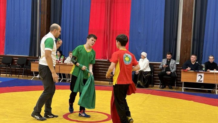 Фәргать Нәбиуллин истәлегенә ачык  көрәш турниры