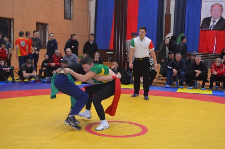 Фәргать Нәбиуллин истәлегенә ачык  көрәш турниры