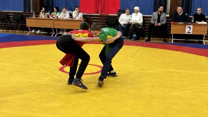 Фәргать Нәбиуллин истәлегенә ачык  көрәш турниры