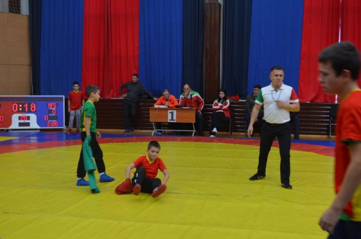 Фәргать Нәбиуллин истәлегенә ачык  көрәш турниры