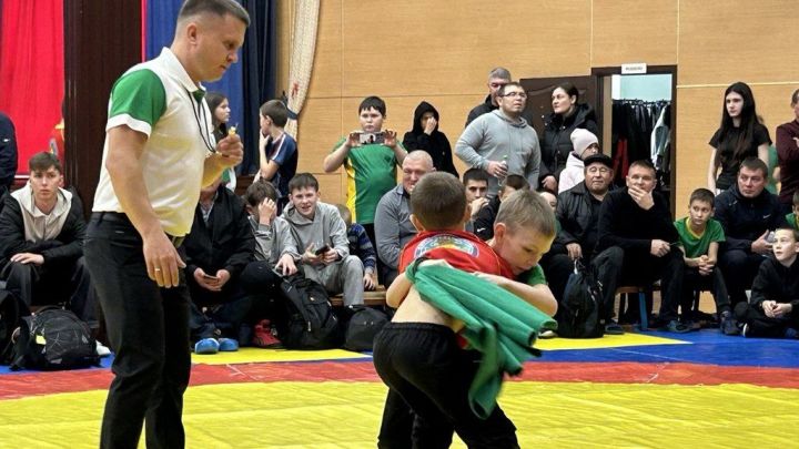 Фәргать Нәбиуллин истәлегенә ачык  көрәш турниры