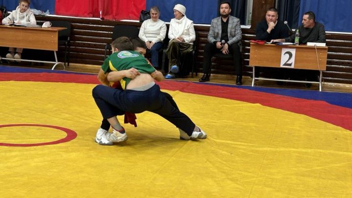 Фәргать Нәбиуллин истәлегенә ачык  көрәш турниры