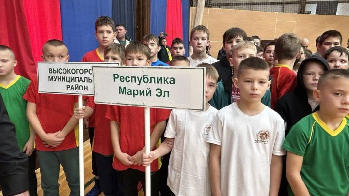 Фәргать Нәбиуллин истәлегенә ачык  көрәш турниры