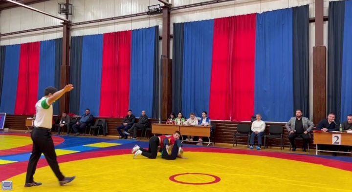 Фәргать Нәбиуллин истәлегенә ачык  көрәш турниры