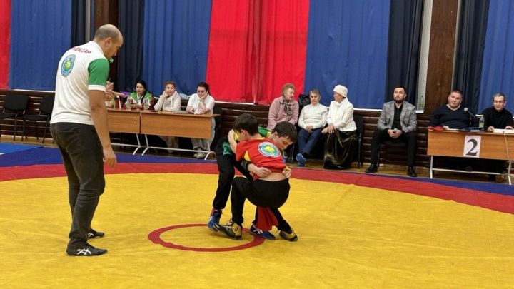 Фәргать Нәбиуллин истәлегенә ачык  көрәш турниры