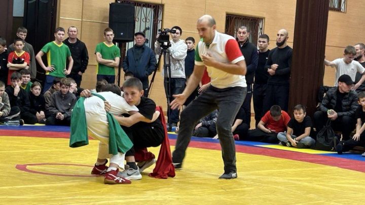 Фәргать Нәбиуллин истәлегенә ачык  көрәш турниры