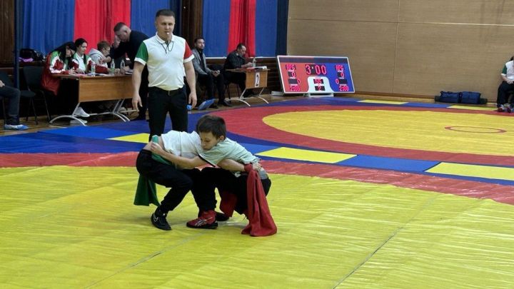 Фәргать Нәбиуллин истәлегенә ачык  көрәш турниры