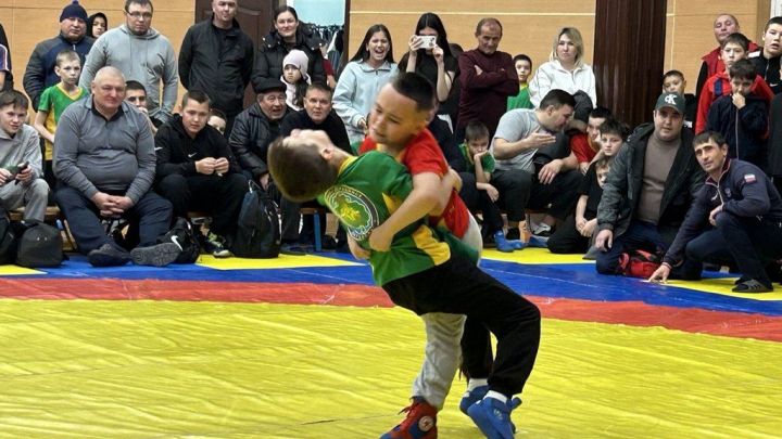 Фәргать Нәбиуллин истәлегенә ачык  көрәш турниры