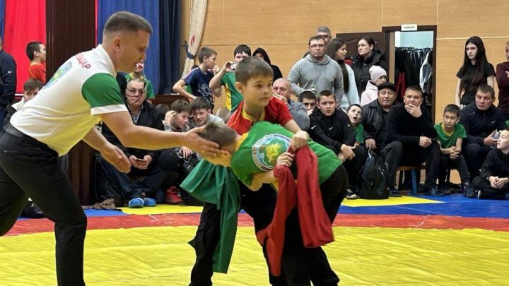 Фәргать Нәбиуллин истәлегенә ачык  көрәш турниры