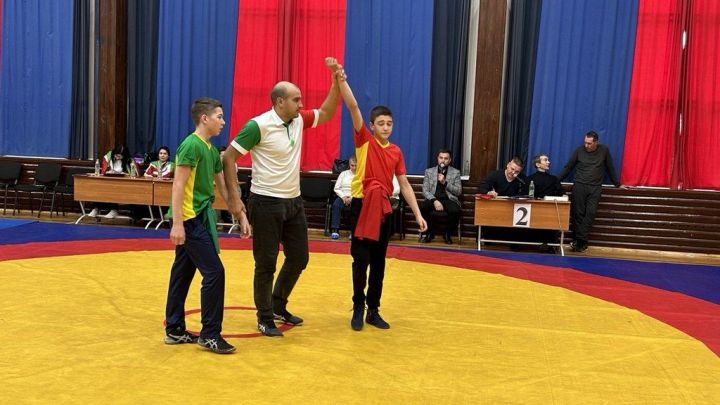 Фәргать Нәбиуллин истәлегенә ачык  көрәш турниры