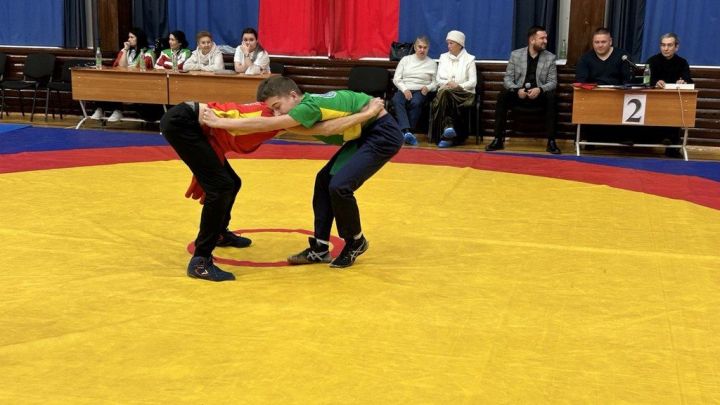 Фәргать Нәбиуллин истәлегенә ачык  көрәш турниры