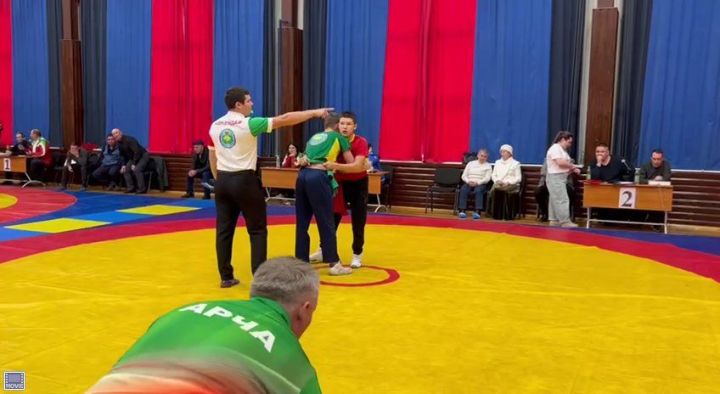 Фәргать Нәбиуллин истәлегенә ачык  көрәш турниры