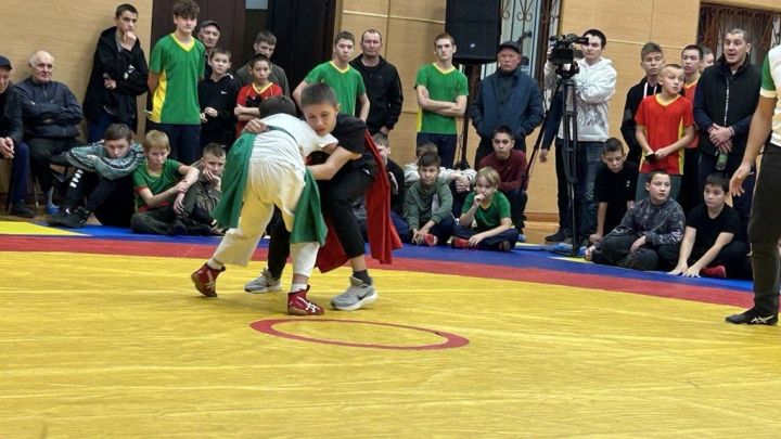 Фәргать Нәбиуллин истәлегенә ачык  көрәш турниры