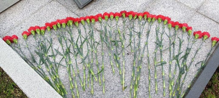 Фәргать Нәбиуллин истәлегенә ачык  көрәш турниры