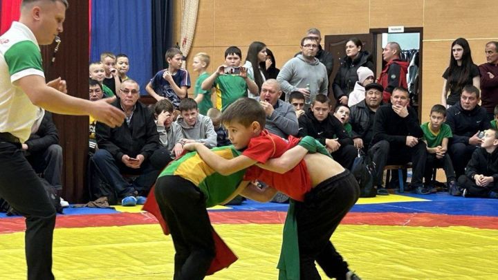 Фәргать Нәбиуллин истәлегенә ачык  көрәш турниры