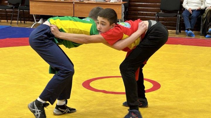 Фәргать Нәбиуллин истәлегенә ачык  көрәш турниры