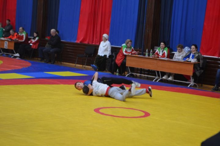 Фәргать Нәбиуллин истәлегенә ачык  көрәш турниры