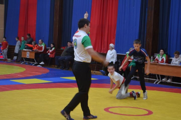 Фәргать Нәбиуллин истәлегенә ачык  көрәш турниры