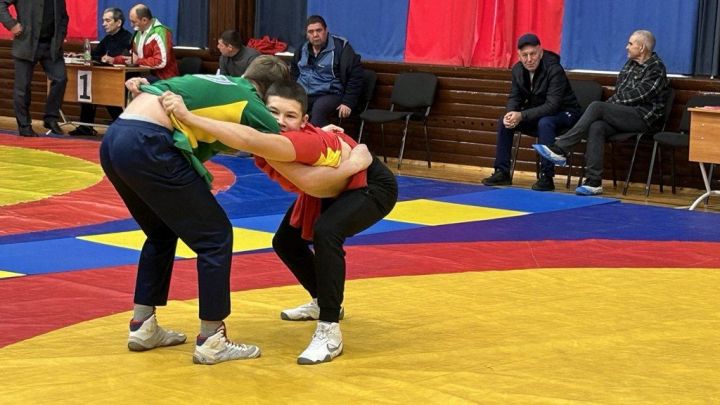 Фәргать Нәбиуллин истәлегенә ачык  көрәш турниры