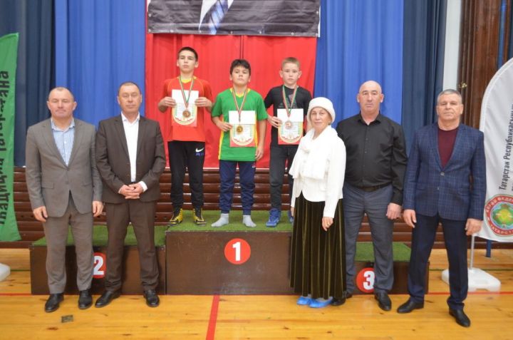 Фәргать Нәбиуллин истәлегенә ачык  көрәш турниры