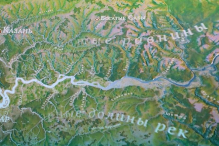 Махсус хәрби операциядә аларның роле бәһасыз