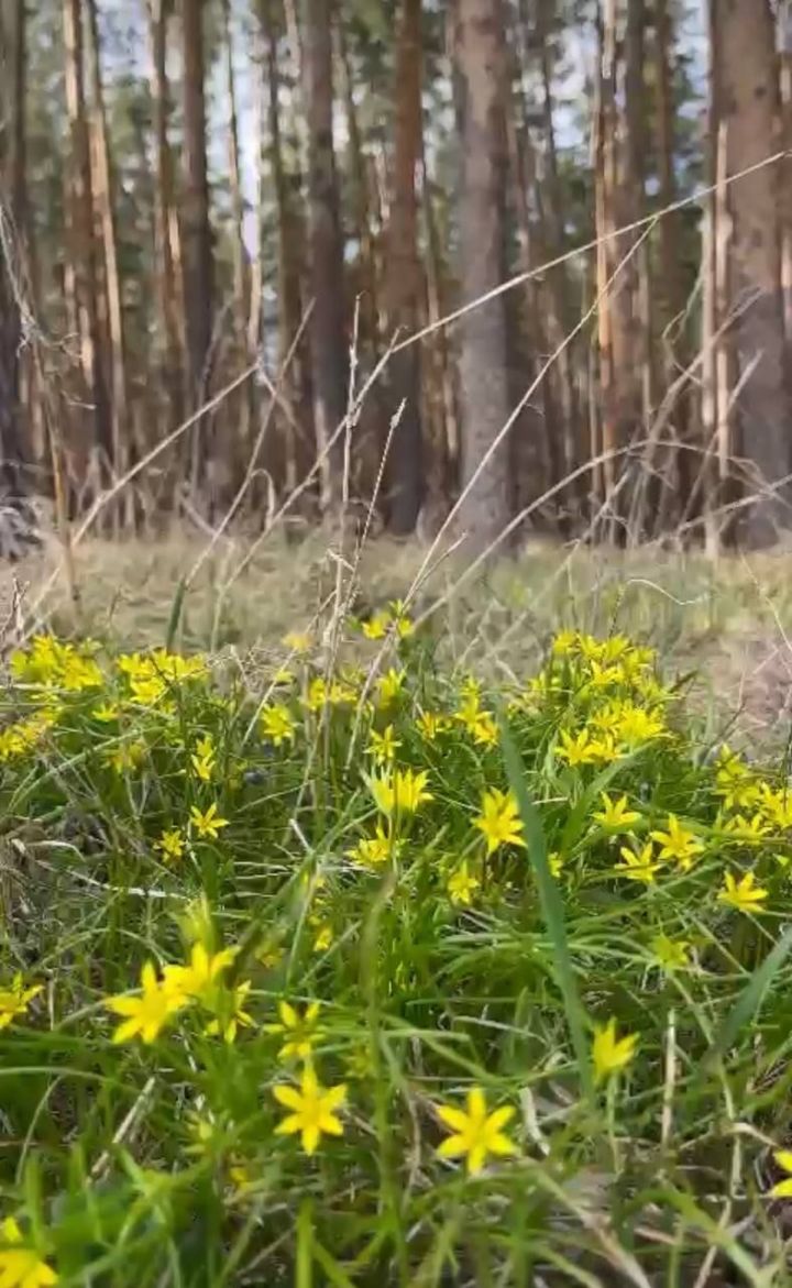 Бүген Байлар Сабасында нинди һава торышы көтелә?