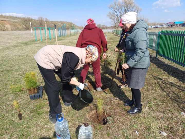 Олы Кибәче халкы «Хәтер бакчасы» акциясенә кушылды