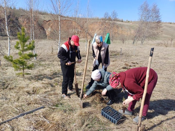 Олы Кибәче халкы «Хәтер бакчасы» акциясенә кушылды