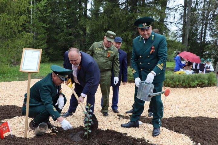 Сталинград тирәге  генетик хәтер булып Лесхозга  кайтты