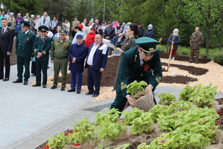 Сталинград тирәге  генетик хәтер булып Лесхозга  кайтты