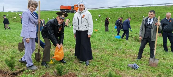 Бәйрәм көнне «Ямьле Саба» яр буенда 140 төп агач утыртылды