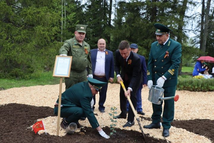 Сталинград тирәге  генетик хәтер булып Лесхозга  кайтты