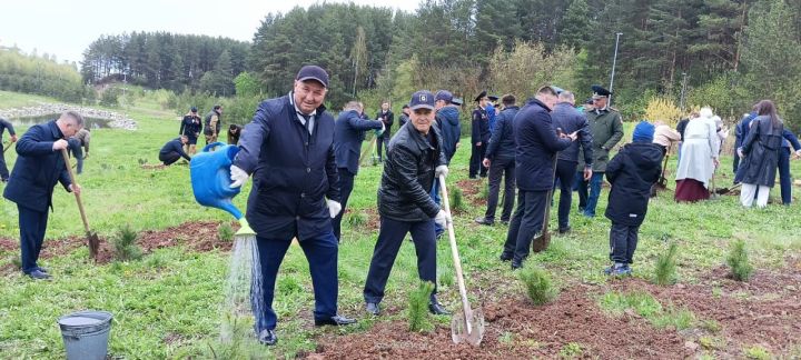 Бәйрәм көнне «Ямьле Саба» яр буенда 140 төп агач утыртылды
