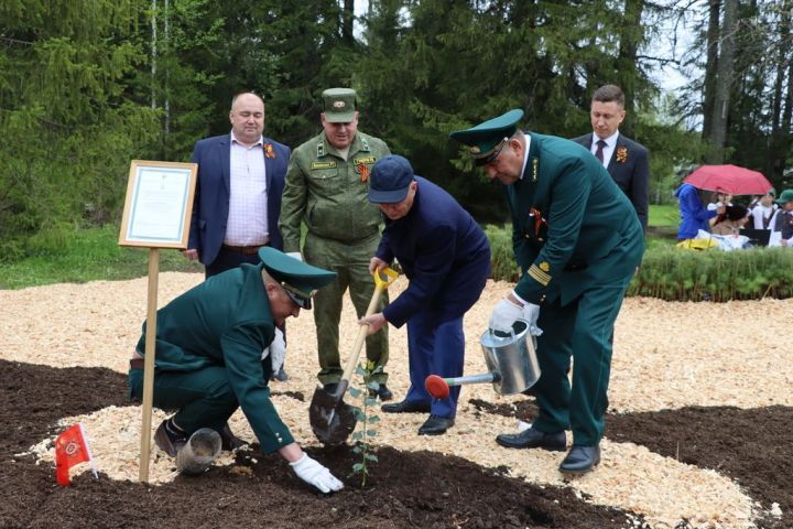 Сталинград тирәге  генетик хәтер булып Лесхозга  кайтты