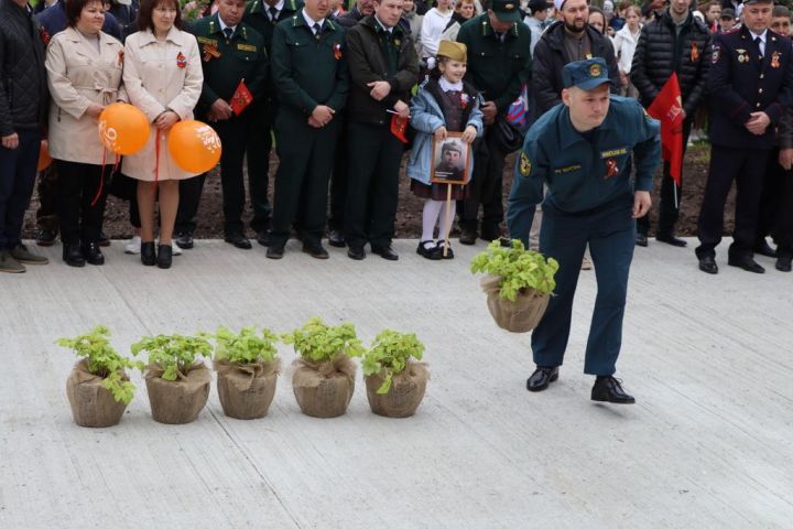 Сталинград тирәге  генетик хәтер булып Лесхозга  кайтты