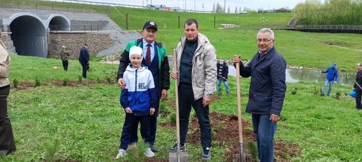 Бәйрәм көнне «Ямьле Саба» яр буенда 140 төп агач утыртылды