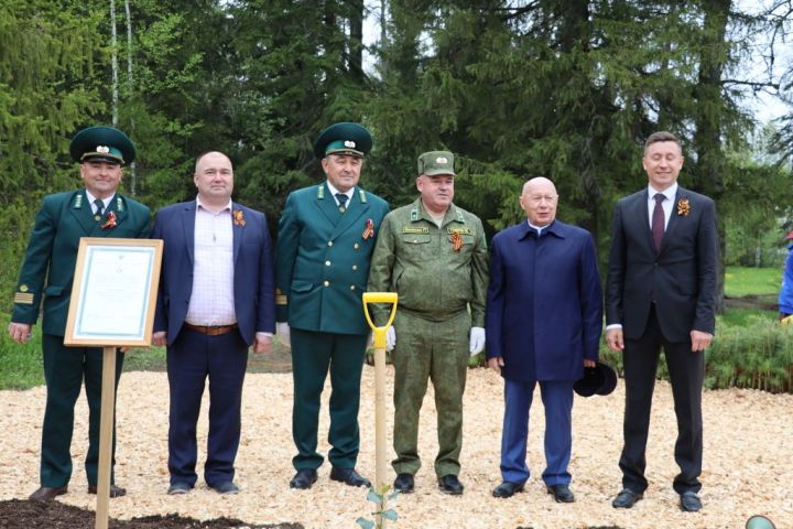 Сталинград тирәге  генетик хәтер булып Лесхозга  кайтты