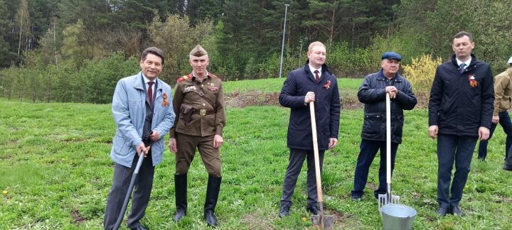 Бәйрәм көнне «Ямьле Саба» яр буенда 140 төп агач утыртылды