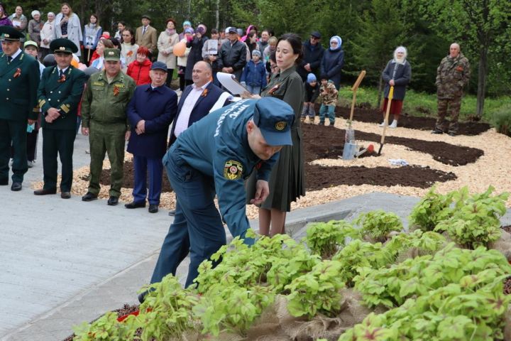 Сталинград тирәге  генетик хәтер булып Лесхозга  кайтты