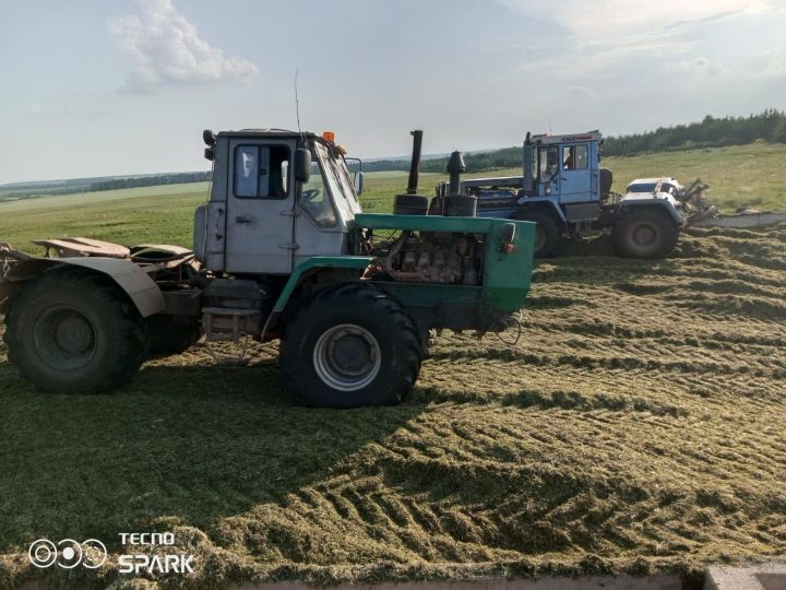 «Лукоз Саба»да терлек азыгы әзерлиләр