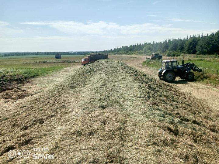 «Лукоз Саба»да терлек азыгы әзерлиләр